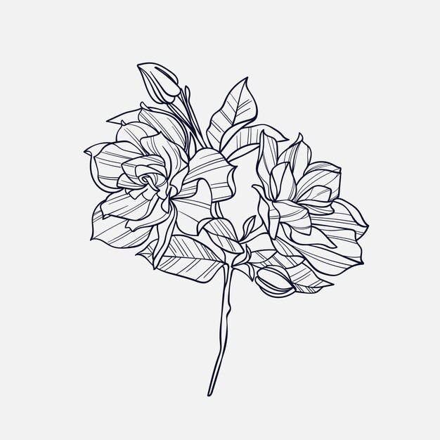 Hand drawn simple flower outline