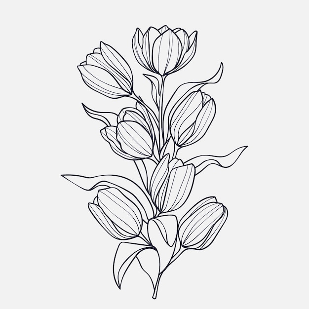 Free Vector hand drawn simple flower outline