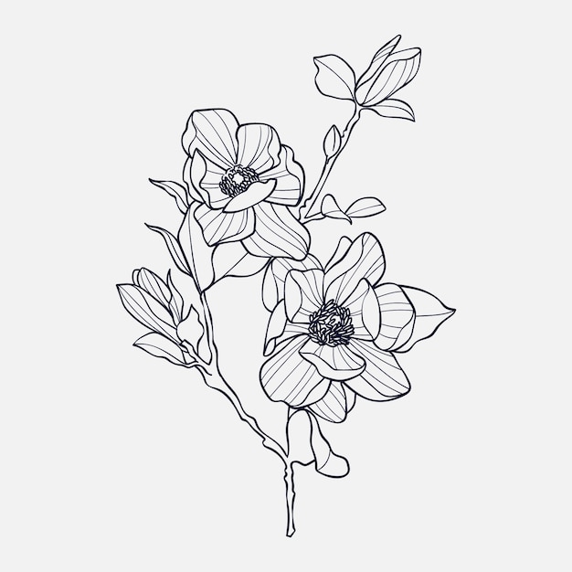 Free Vector hand drawn simple flower outline