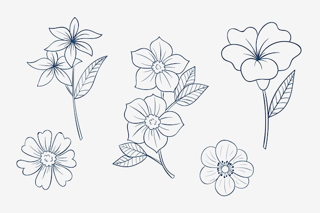 Hand drawn simple flower outline