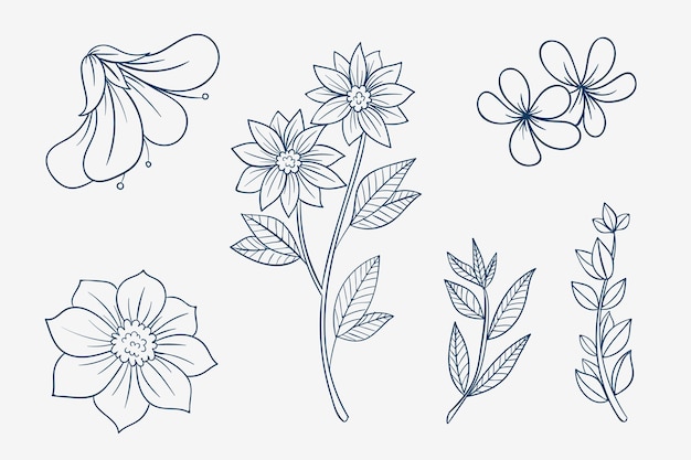 Hand drawn simple flower outline