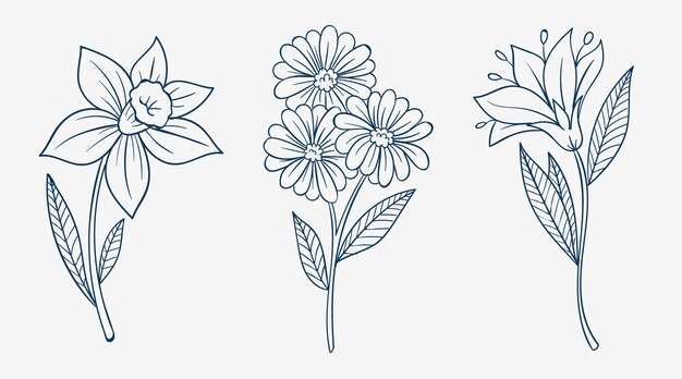 Hand drawn simple flower outline