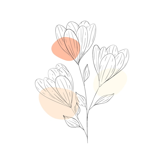 Free vector hand drawn simple flower outline