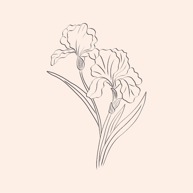 Hand drawn simple flower outline