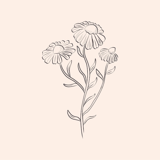 Hand drawn simple flower outline