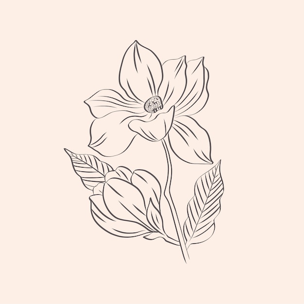 Hand drawn simple flower outline