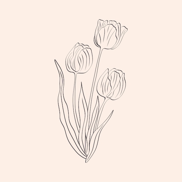 Free vector hand drawn simple flower outline