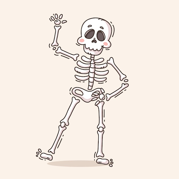 Hand drawn skeleton  cartoon illustration