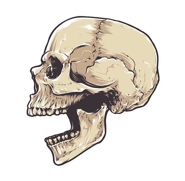 Free Vector hand drawn skull