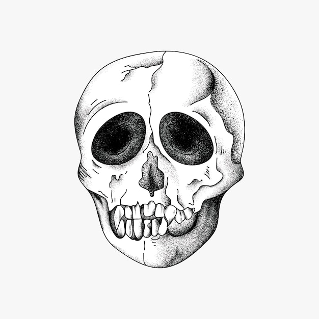 Free Vector hand drawn skull