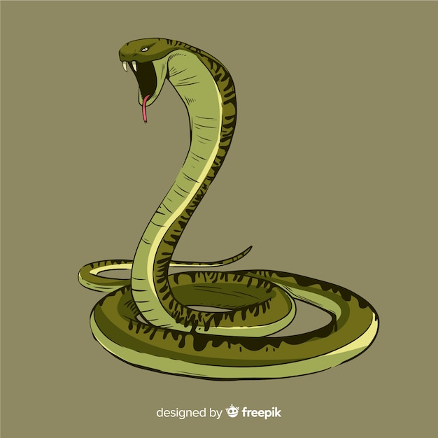 Free vector hand drawn snake illustration