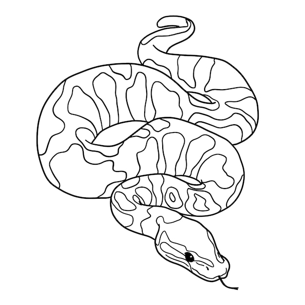 Free vector hand drawn snake outline illustration