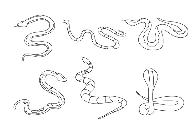 Hand drawn snake outline illustration