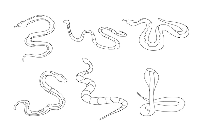 Hand drawn snake outline illustration