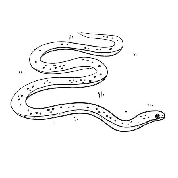 Hand drawn snake outline illustration