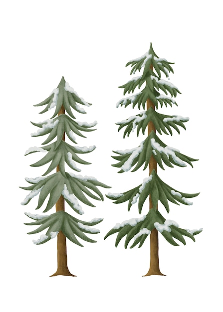 Hand-drawn snowcapped pine trees