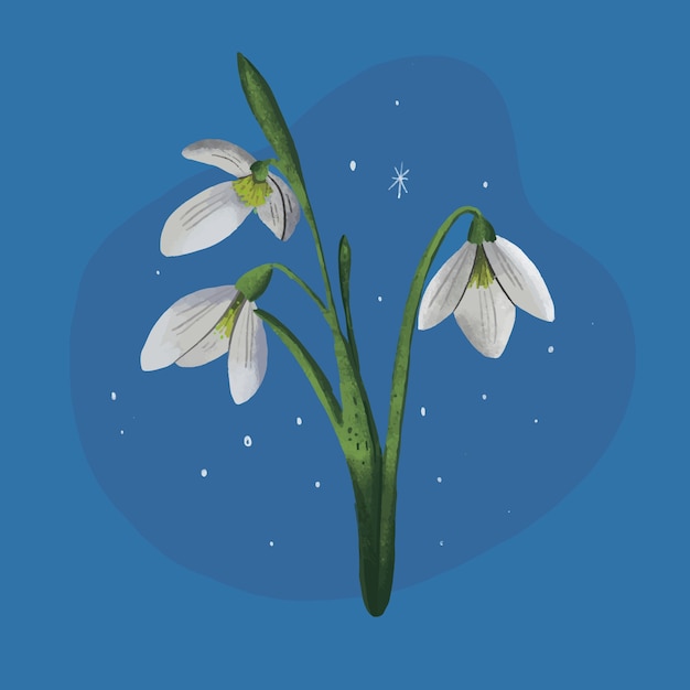 Hand drawn snowdrop flower illustration