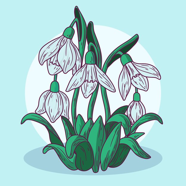 Hand drawn snowdrop illustration