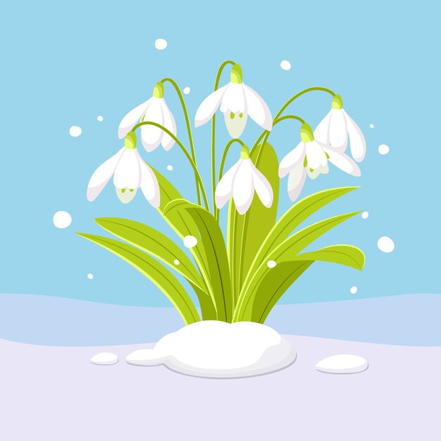 Hand drawn snowdrop illustration