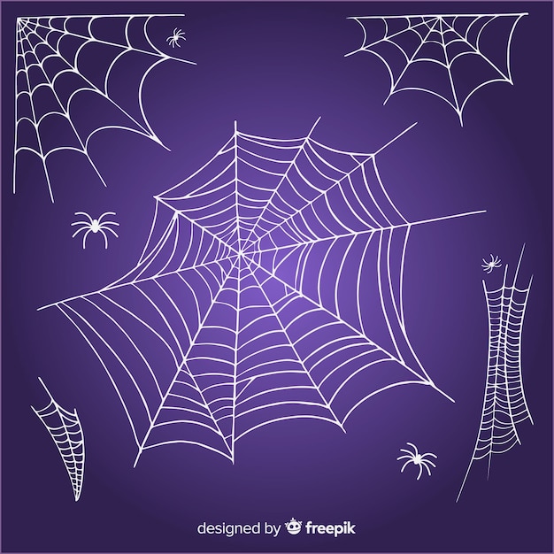 Hand drawn spider cobweb collection