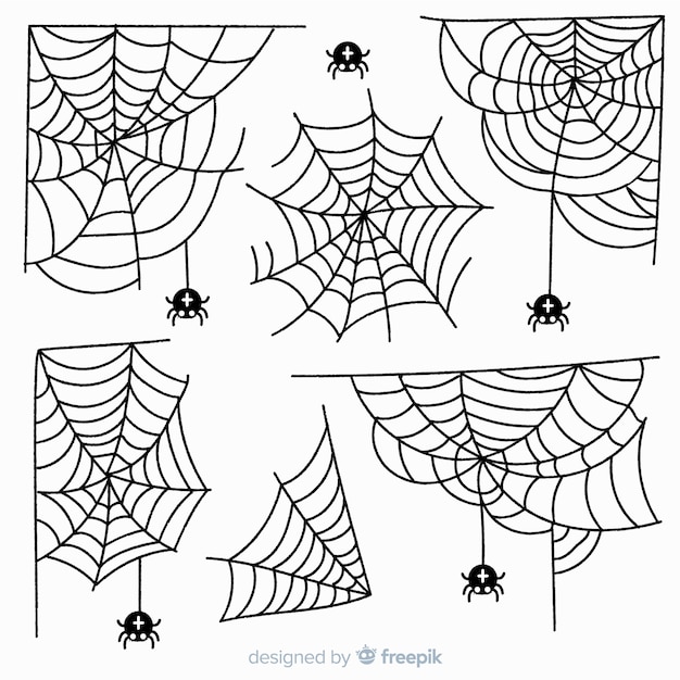 Free vector hand drawn spider web collection on white background