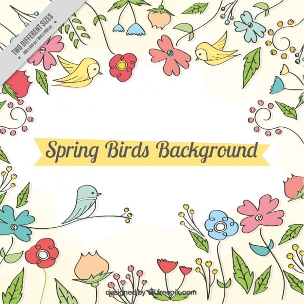 Free Vector hand drawn spring background with birds