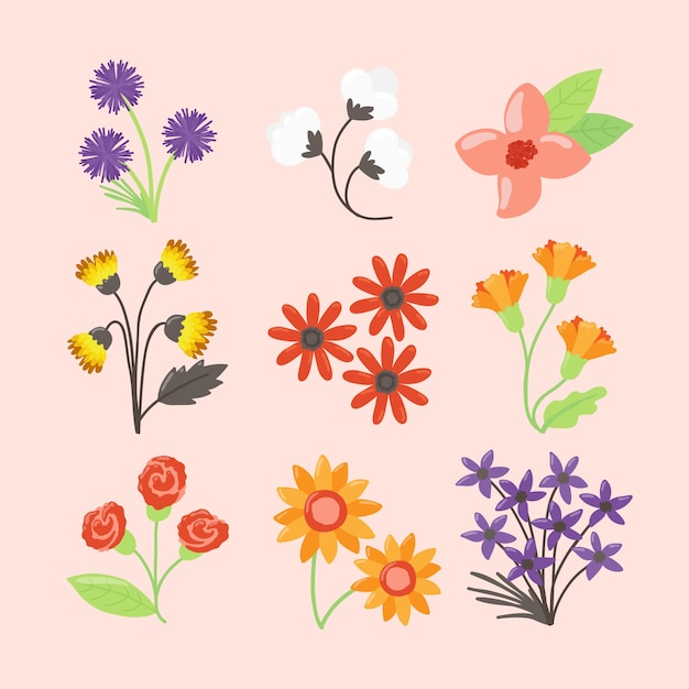 Hand drawn spring flower collection isolated on pink background