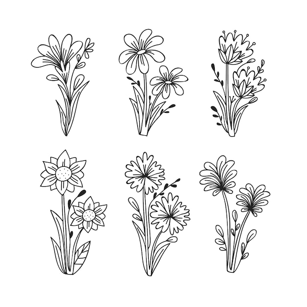 Hand drawn spring flower collection sketches