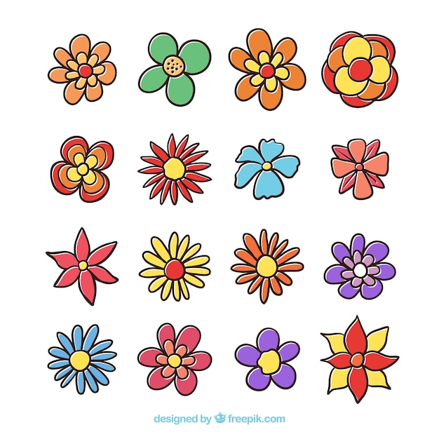 Hand drawn spring flower collection