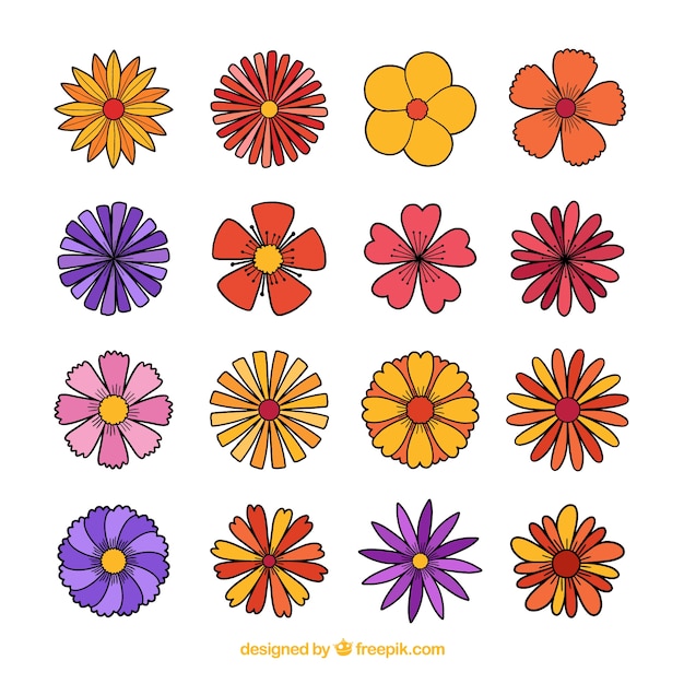 Hand drawn spring flower collection