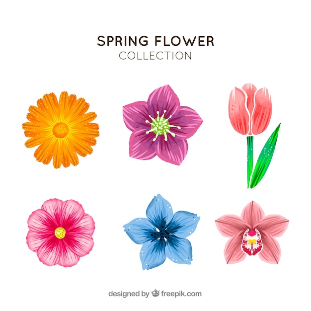 Free Vector hand drawn spring flower collection