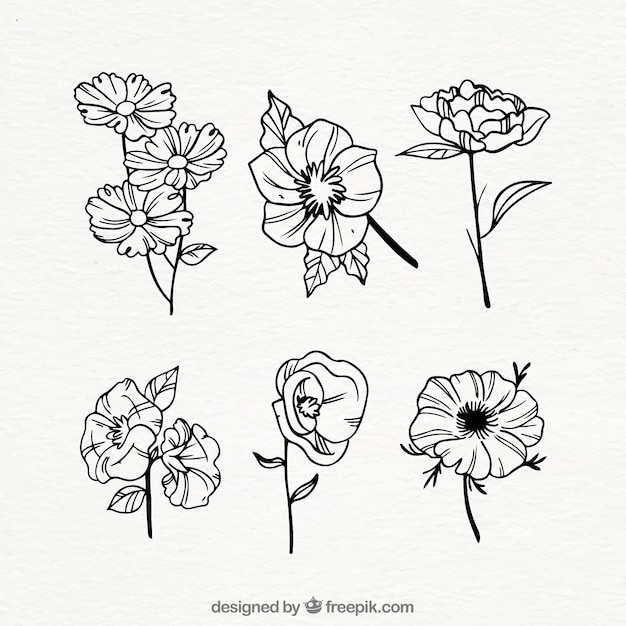 Free Vector hand drawn spring flower collection