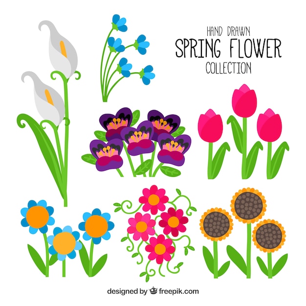 Free Vector hand drawn spring flower collection