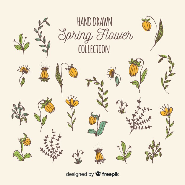 Hand drawn spring flower collection