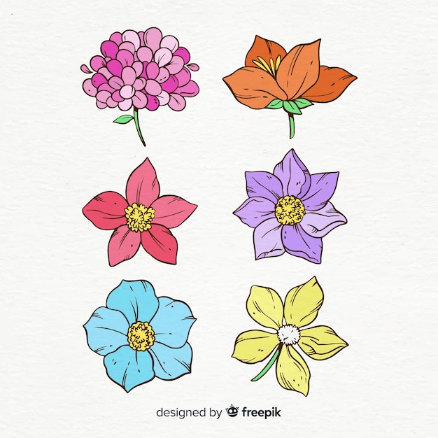 Hand drawn spring flower collection