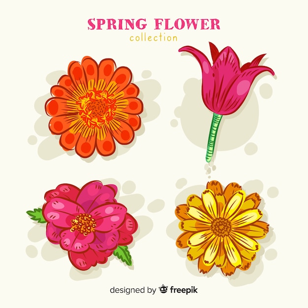 Hand drawn spring flower collection