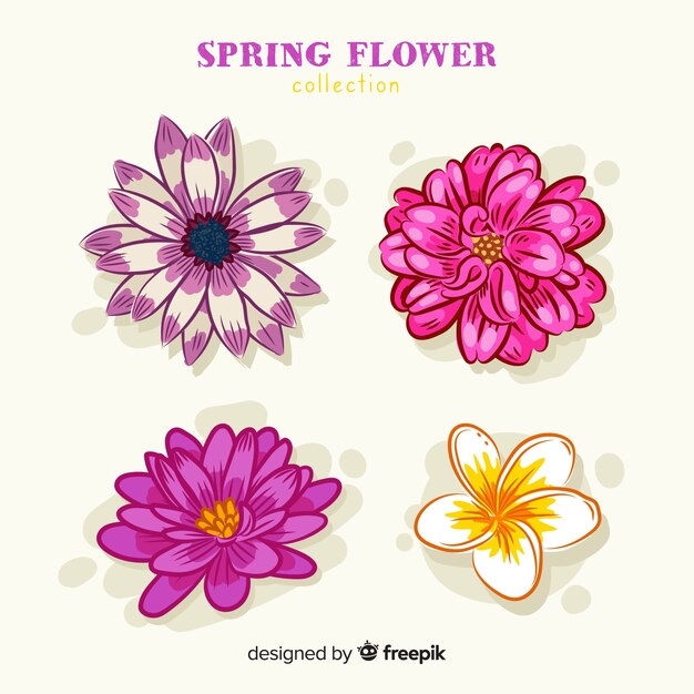 Hand drawn spring flower collection