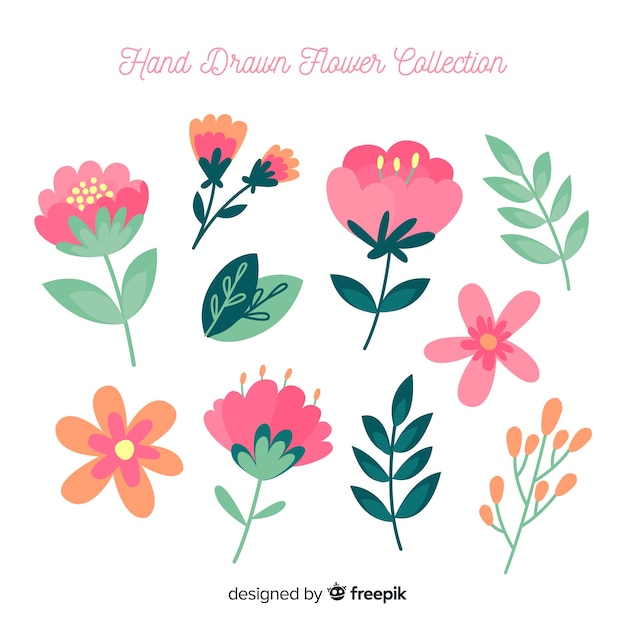 Hand drawn spring flower collection