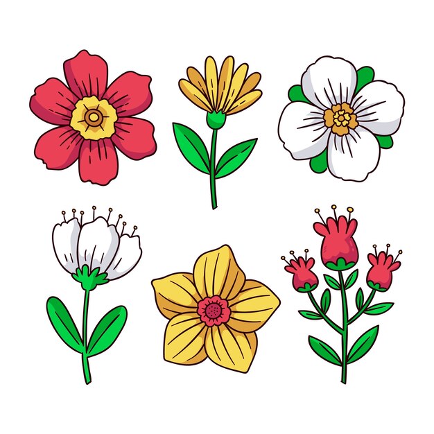 Hand drawn spring flower collection