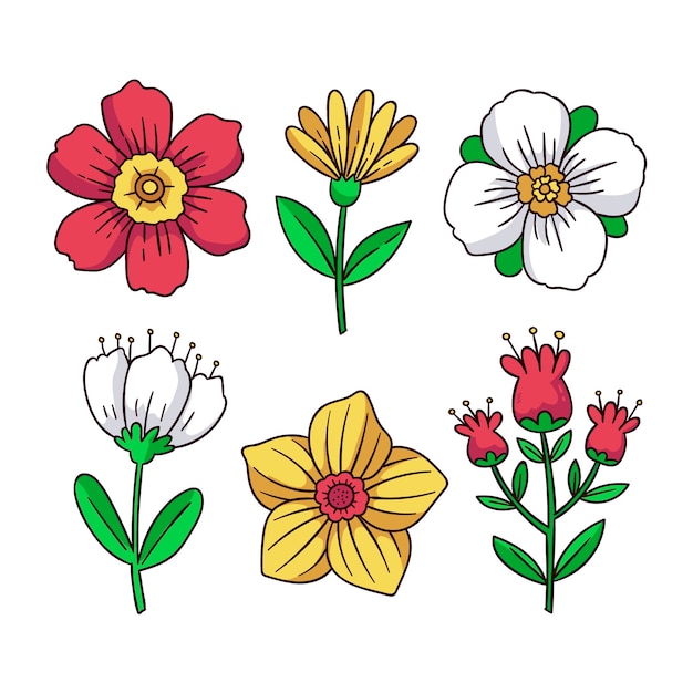 Hand drawn spring flower collection