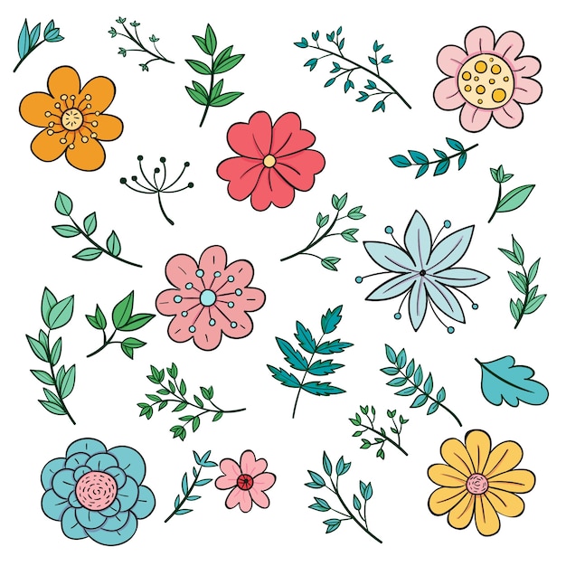 Hand drawn spring flower collection