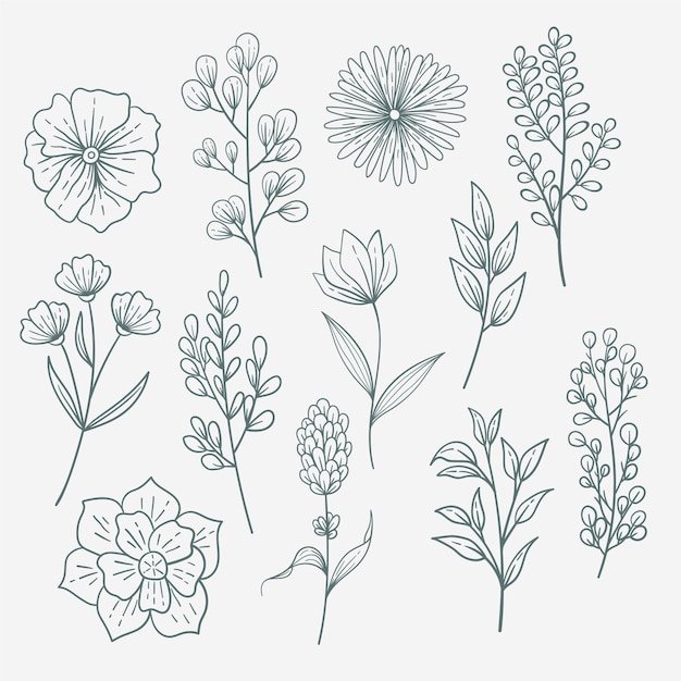 Hand drawn spring flower collection