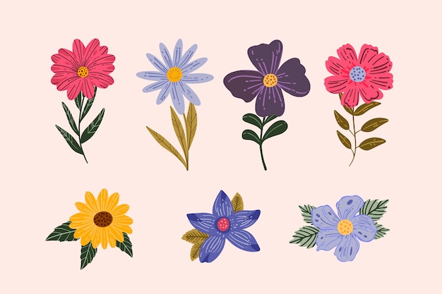 Free Vector hand drawn spring flower collection