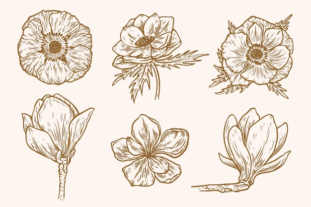 Hand drawn spring flower collection