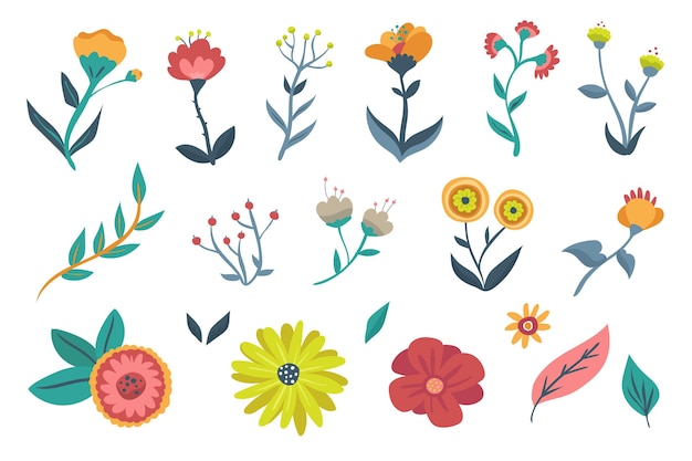 Hand drawn spring flower collection