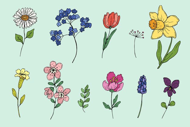 Hand drawn spring flower collection