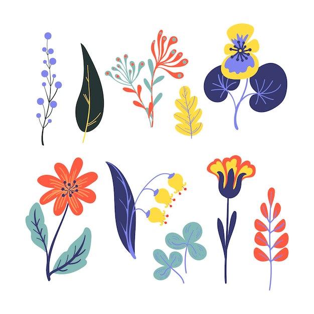 Hand drawn spring flower collection