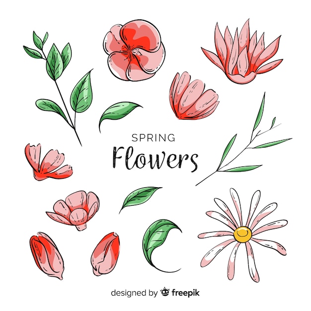 Free Vector hand drawn spring flowers collecion