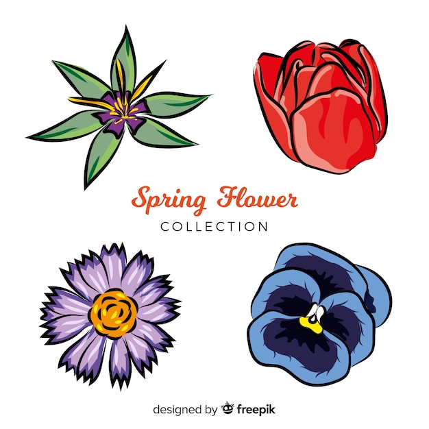 Free Vector hand drawn spring flowers collection