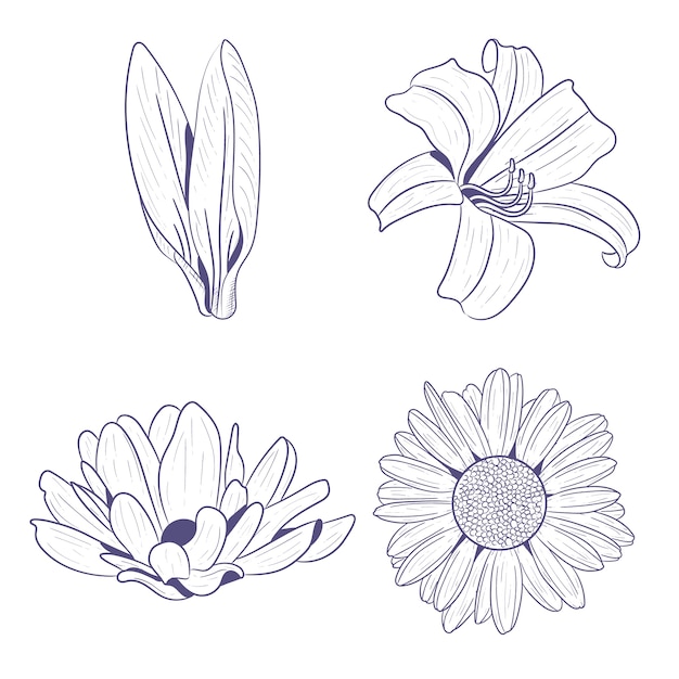 Free vector hand drawn spring flowers